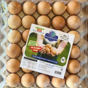 Clevedon Hill 30 Pcs Family Pack Wrapped