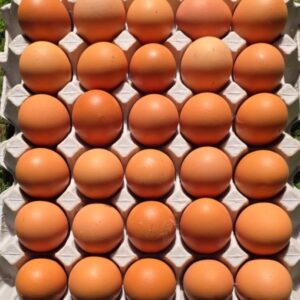 Clevedon Hill 30 Pcs Family Pack Without Wrapped